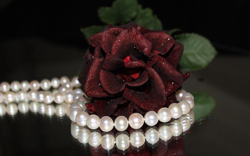pearls, 1920x1200, beaded, photography, red, rose, necklace, 1080P, pearl