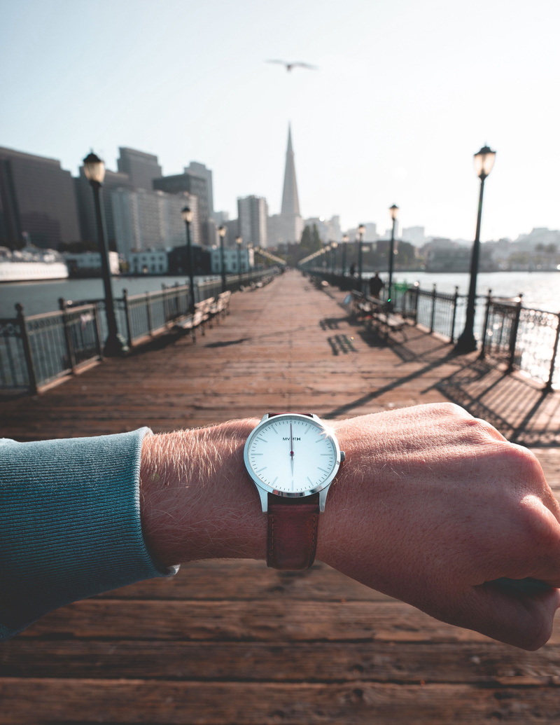 perfect timing, lifestyles, san francisco, time, water, sunset, skyline, pier, architecture, outdoors, bird, united states, buildings, human body part