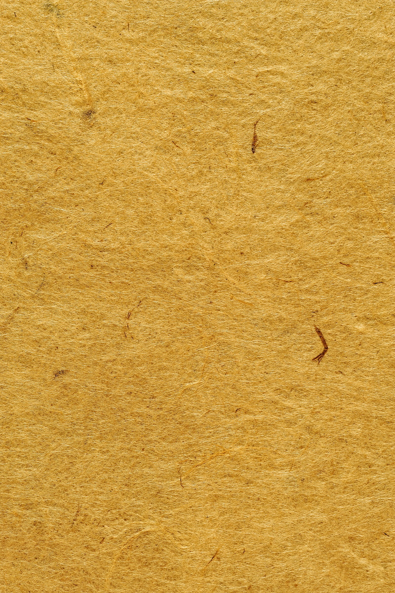 vertebrate, animal wildlife, parchment, background, backgrounds, one animal, ancient, texture, zen, beauty in nature, nature, animal, book, 4K, outdoors