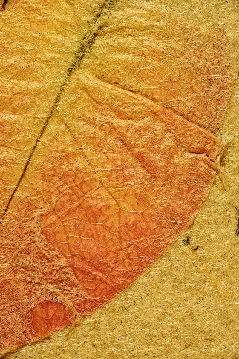 close-up, rough, leaf, book, backgrounds, cover, map, ancient, high angle view, geology, plant, texture, natural pattern, zen, parchment, no people, land