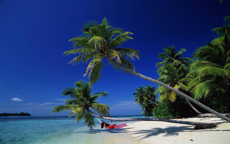 tropical tree, holiday, sky, nature, vacations, tropical climate, red, beach, trip, island, blue, hammock, beauty in nature, water, tree, 1080P, outdoors