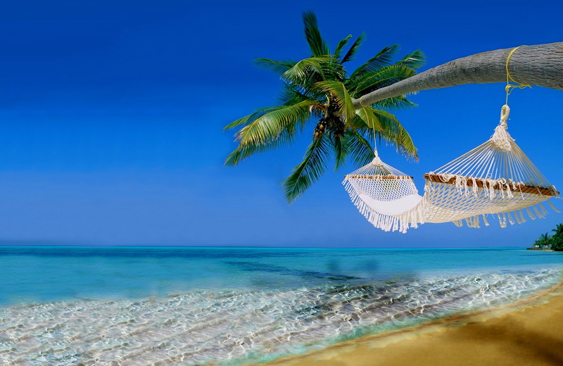 tree, blue, idyllic, palm tree, hammocks, tranquil scene, tropical climate, sea, luxury, beauty in nature, water, no people, turquoise colored, tranquility