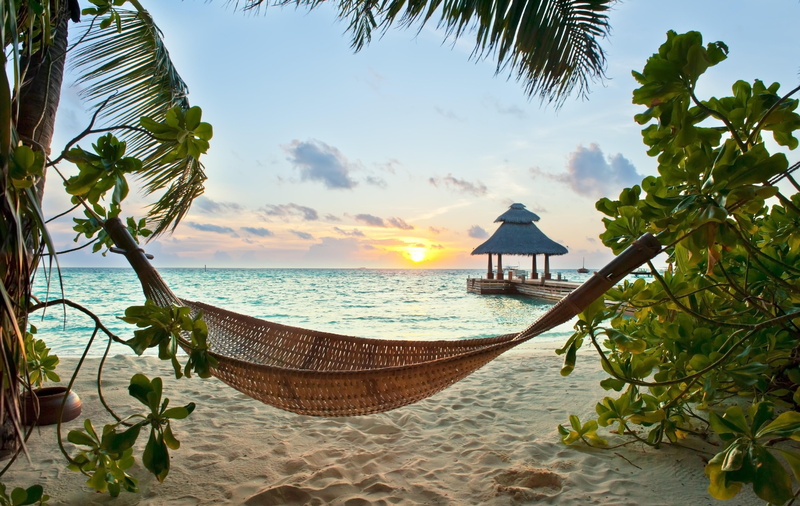 tropical, beach, hammocks, tropical climate, nature, water, leaf, palm leaf, cloud - sky, land, sky, tranquility, tree, tranquil scene, sea, 4K, scenics - nature