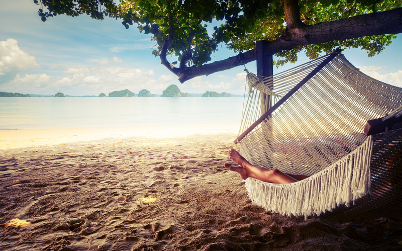 trees, day, landscape, beauty in nature, tranquil scene, hammocks, tree, outdoors, sea, beach, sand, scenics - nature, tranquility, sunlight, plant, 4K