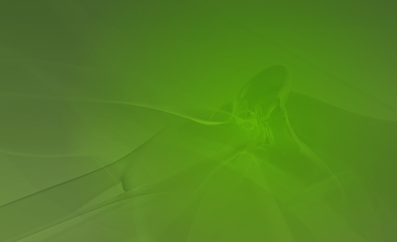 full frame, plant, 1080P, freshness, copy space, fragility, nature, backgrounds, close-up, power in nature, Computers, Suse, leaf vein, Default, Linux