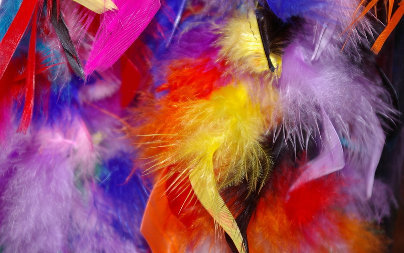 jewellery, bird feather, decorative, pattern, spirituality, close-up, colorful feathers, feather, religion, no people, multi colored, arts culture and entertainment