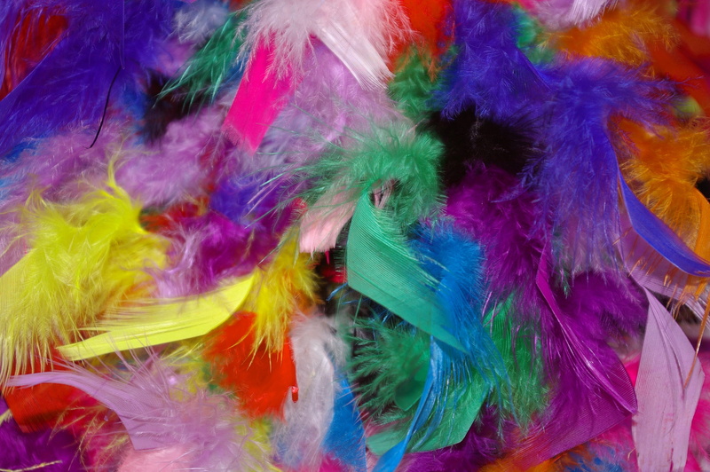 high angle view, pattern, fur, background, 2K, motion, costume, feather, mood, background image, colorful, jewellery, full frame, multicolored, no people