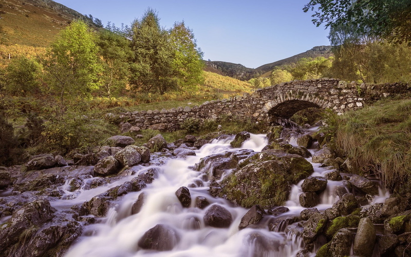 tree, hills, nature, water, day, stream - flowing water, rock - object, stones, scenics - nature, beauty in nature, motion, trees, stone, flowing, outdoors
