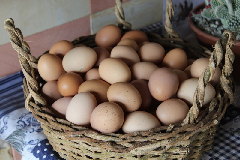 wicker, freshness, high angle view, close-up, day, wellbeing, raw food, eggs, no people, large group of objects, 5K, kitchen, food, food and drink, brown