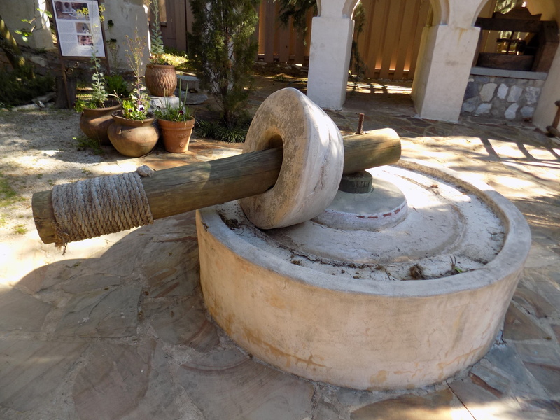 5K, Olives, process, healthy, no people, outdoors, plant, building exterior, agriculture, front or back yard, olive-oil, jerusalem, solid, wholesome, day