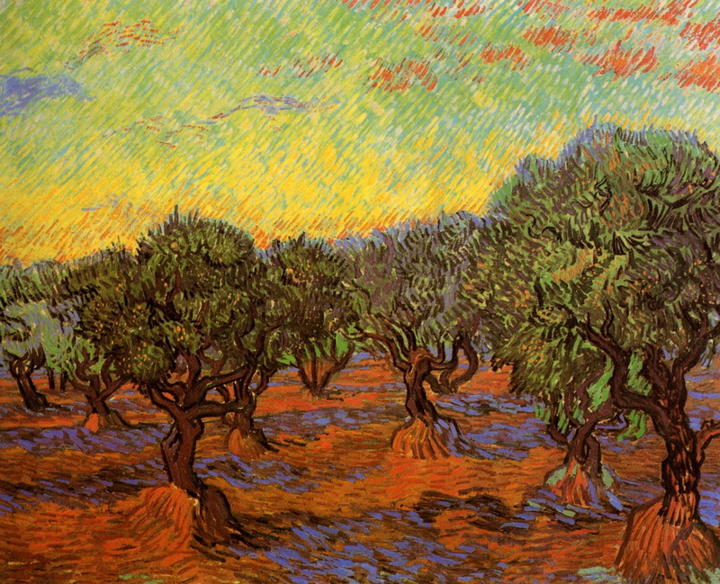 Orange Sky, trees, Vincent van Gogh, Olive Grove, 2K