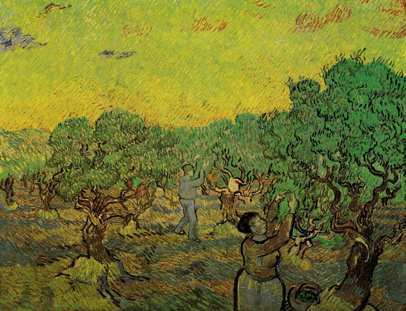 collectors of berries, Olive Grove with, Vincent van Gogh, 2K, Picking Figures