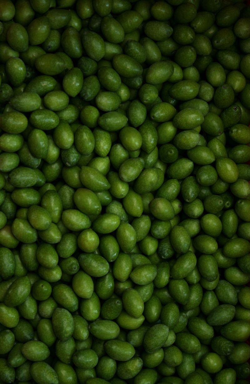 seed, harvesting olives, textured, still life, green Color, healthy eating, puglia, food, olives, large group of objects, cultivate, indoors, agriculture