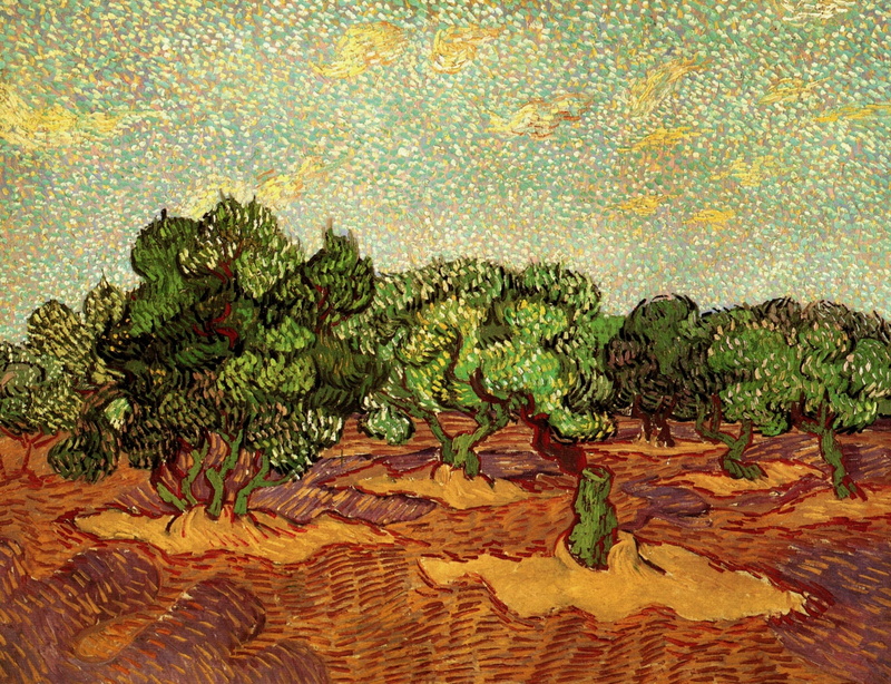 Olive Grove, Pale Blue Sky, trees, Vincent van Gogh, 2K