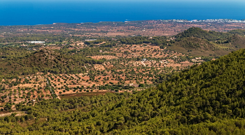 mountains, landscape, environment, olives, tree, coast, town, europe, scenics, rural Scene, semi-arid, country, beauty in nature, high angle view, scenics - nature