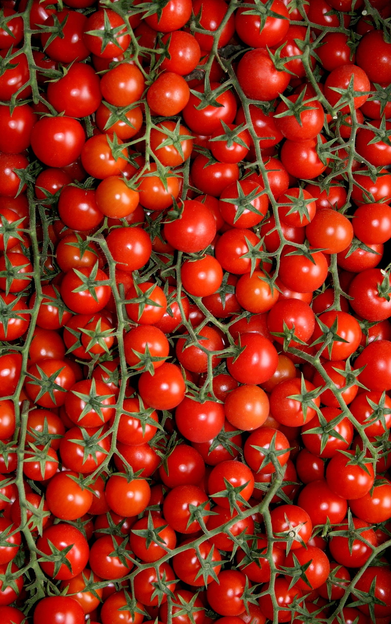 large group of objects, olive grove, day, cherry, backgrounds, vegetable, tomato, Tomatoes, full frame, food, vegetables, market, fruit, organic, freshness
