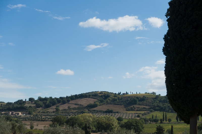 scenics - nature, outlook, nature, 5K, italian cypress, landscape, architecture, tranquil scene, sky, olive grove, land, non-urban scene, tuscany, plant