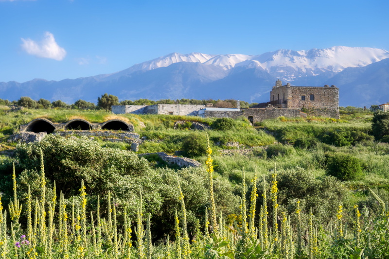 sky, olive grove, built structure, land, snow, growth, greece, outdoors, building, day, mountain, environment, ruins, castle, crete, no people, green, tree
