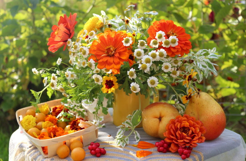 green Color, no People, harvesting, flowers, orange, flower, yellow, 2K, freshness, season, leaf, apple - Fruit, food, crop, focus on foreground, variation
