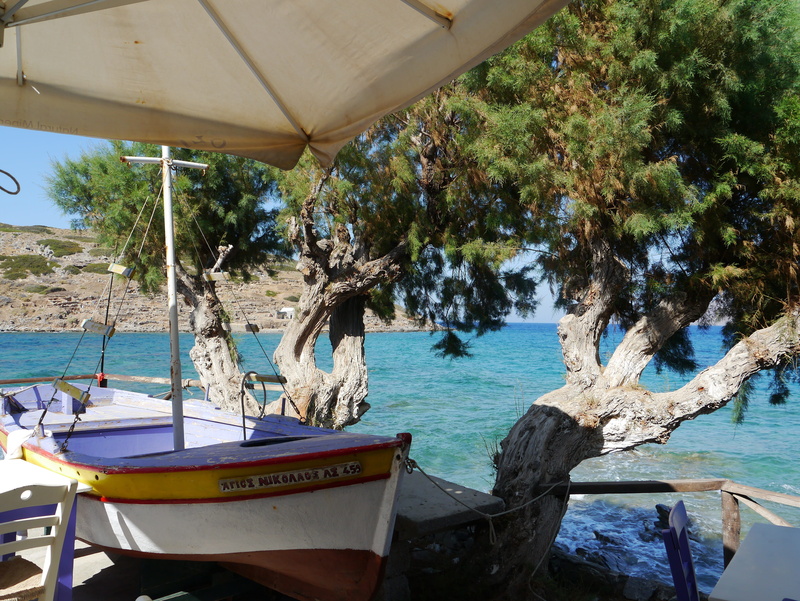 sky, tree, mode of transportation, scenics - nature, moored, tranquility, transportation, no people, nature, olive tree, crete, water, land, day, sea, sunlight