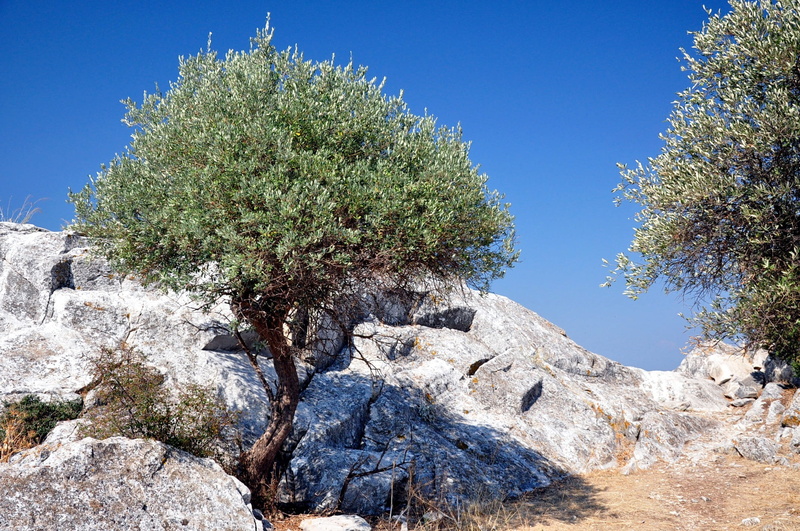 mountain peak, Thassos, formation, Limenas, blue, green, land, sky, sunlight, solid, rock - object, beach, pine woodland, eroded, 1080P, pine tree, tree