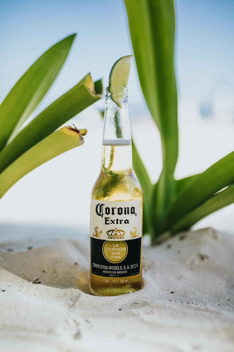 beer, plant, top, growth, sand, olive oil, 5K, lime, nature, day, label, message, close-up, text, western script, green color, communication, container
