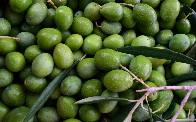 oelfrucht, stack, no people, market, full frame, green, large group of objects, sale, food, green color, frisch, mediterranean, harvest, backgrounds, background
