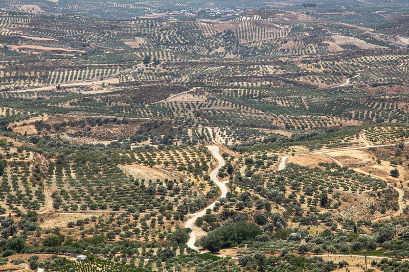 no people, horizon, rural, inland, beautiful landscape, countryside, scenic, green, landscapes, aerial view, dry, sunlight, scene, growth, grece, mediterranean