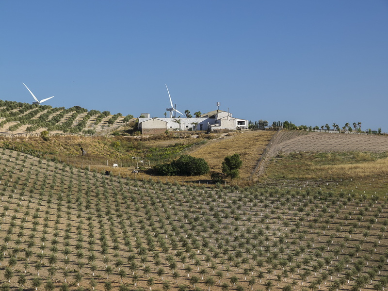 built structure, turbine, outdoors, rural scene, land, olives, olivas, landscapes, wind power, renewable energy, environment, olive trees, alternative energy