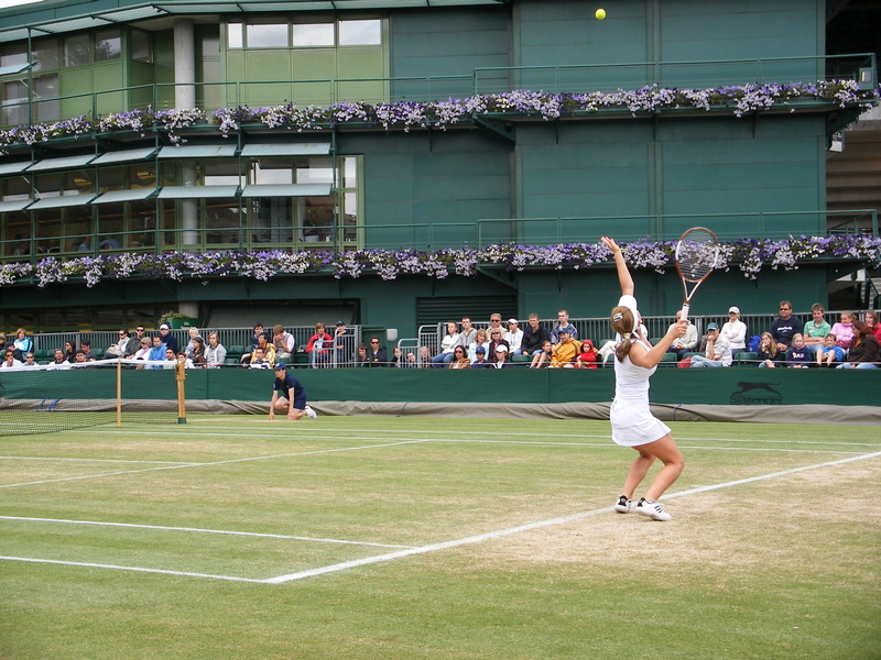match, sport, britain, crowd, nature, racket, playing, group of people, wimbledon, woman, adult, tournament, arms raised, england, serving, human arm, simona halep