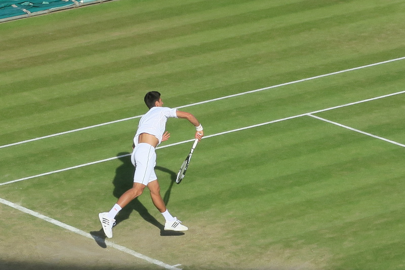novak jokovic, tennis ball, lawn, man, leisure activity, 5K, playing, tennis racket, court, serve, day, one person, clothing, sports clothing, people