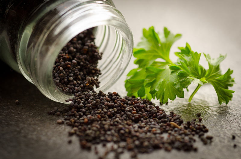 freshness, poppy, seasoning, no people, medicine, plant part, spice, brown, organic, 4K, sesame, food, oregano, leaf, herbal medicine, ingredient, cooking