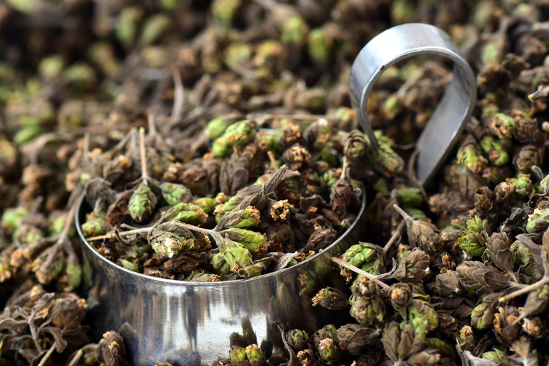 plant, dirt, land, herb, edible, day, leaf, wild marjoram, kitchen, black, medicinal plant, outdoors, 5K, spice, plant part, dry, freshness, food, no people
