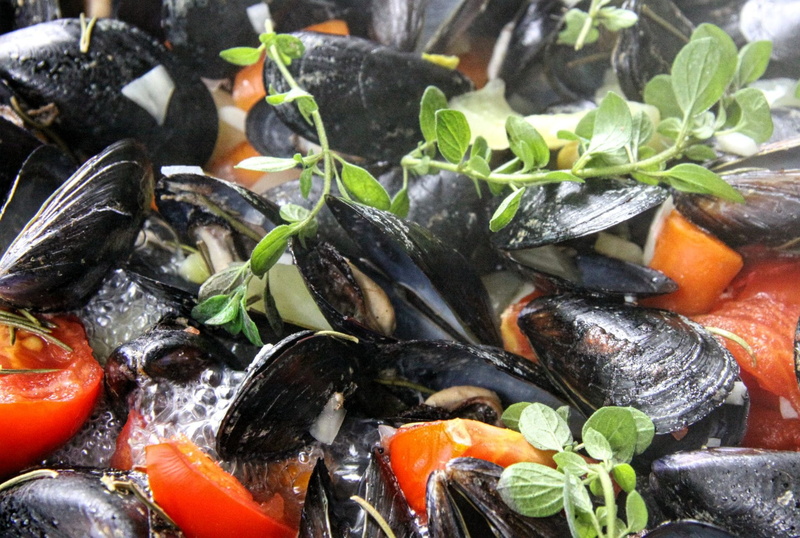 1080P, water, animal wildlife, freshness, healthy eating, orange color, cuisine, food and drink, animal, seafood, day, close-up, mussel, wellbeing, high angle view