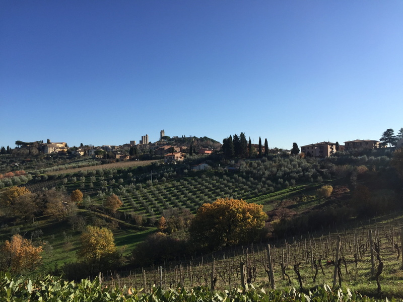 architecture, nature, land, day, tuscan sun, landscape, Vineyard, copy space, scenics - nature, farm, no people, outdoors, winemaking, Italy, environment