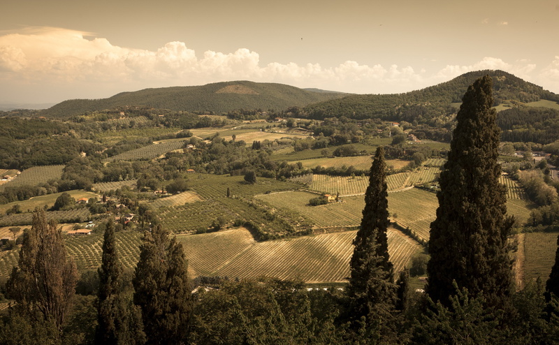 4K, non-urban scene, tranquility, tuscana, no people, scenics - nature, firenze, nature, Vintage, tree, farm, beauty in nature, environment, growth, agriculture