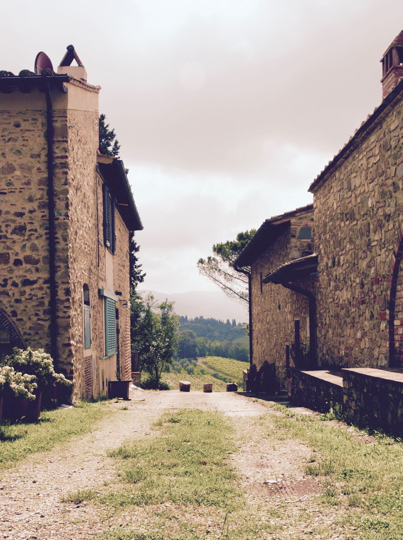 grass, nature, vineyard, residential district, rolling hills, building exterior, tuscan sun, sky, rural scene, cloud - sky, impruneta, land, house, tuscany