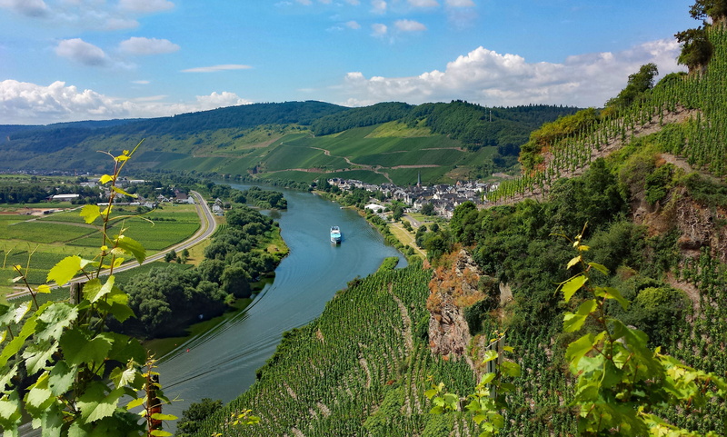 würzgarten, village, non-urban scene, tree, mountain, ürzig, tranquility, 4K, mosel, sachsen, nature, beauty in nature, vacations, environment, green color