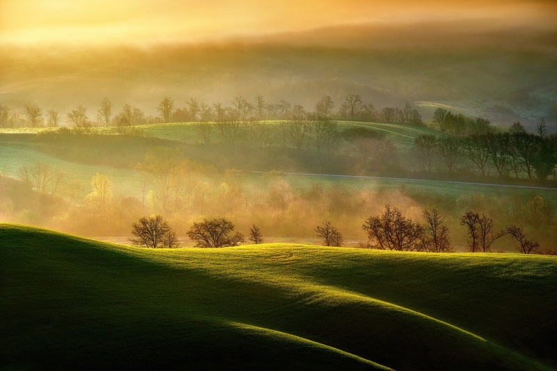 morning, Italy, field, Asciano, 1080P, light, couples, Tuscany