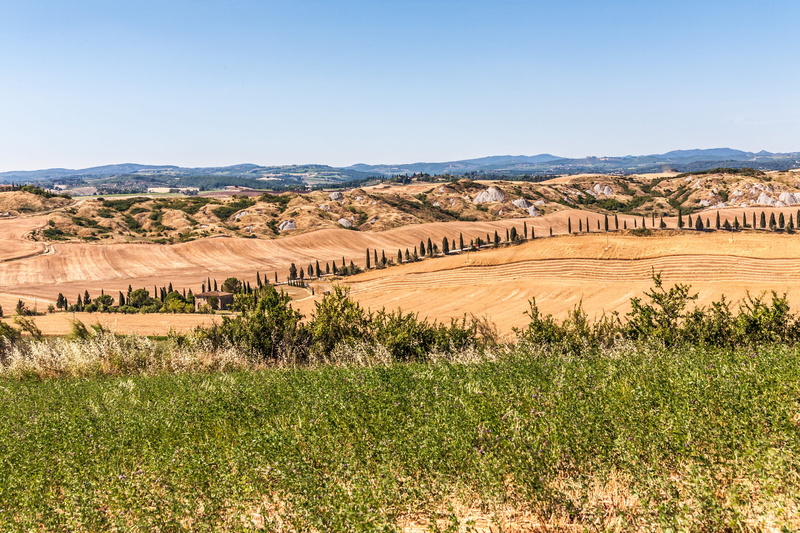 Italy, plant, Tuscany, semi-arid, no people, photography, beauty in nature, desert, tranquility, summer, arid climate, day, environment, Crete Senesi, climate