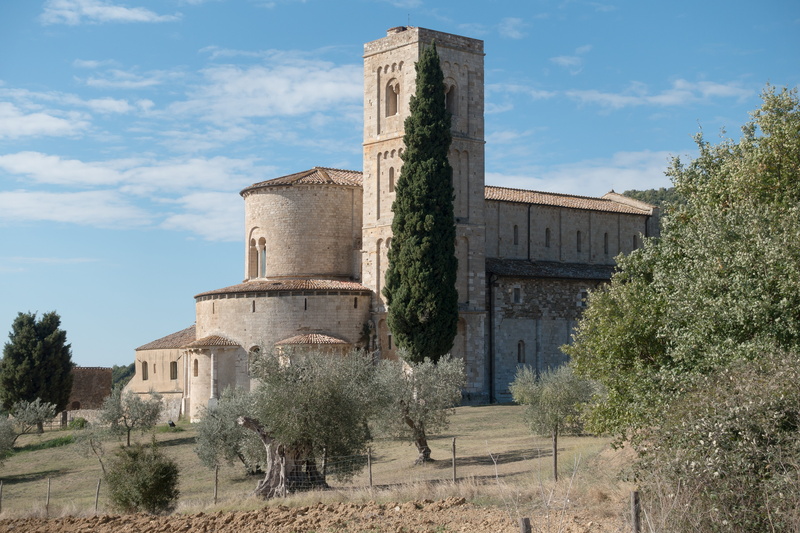 abbey, building exterior, monastery, cypress, tree, land, tuscany, olive tree, italy, 5K, montalcino, growth, church, sky, ruined, old, san antimo, sunlight