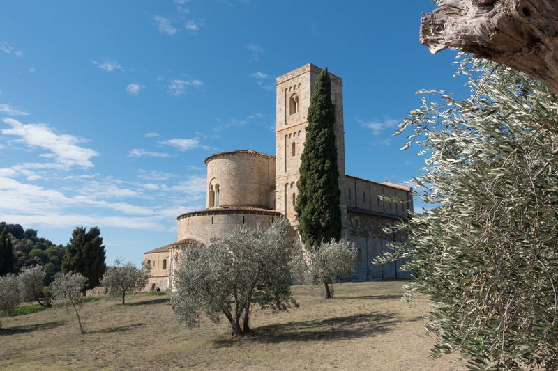 montalcino, Monastery, low angle view, no people, blue, old ruin, agriculture, 5K, old, Abbey, ancient civilization, the past, outdoors, olive tree, plant