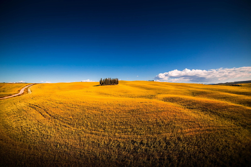 no people, tranquil scene, agriculture, tranquility, idyllic, landscape, outdoors, italy, san quirico dorcia, farm, land, the sky, day, beauty in nature
