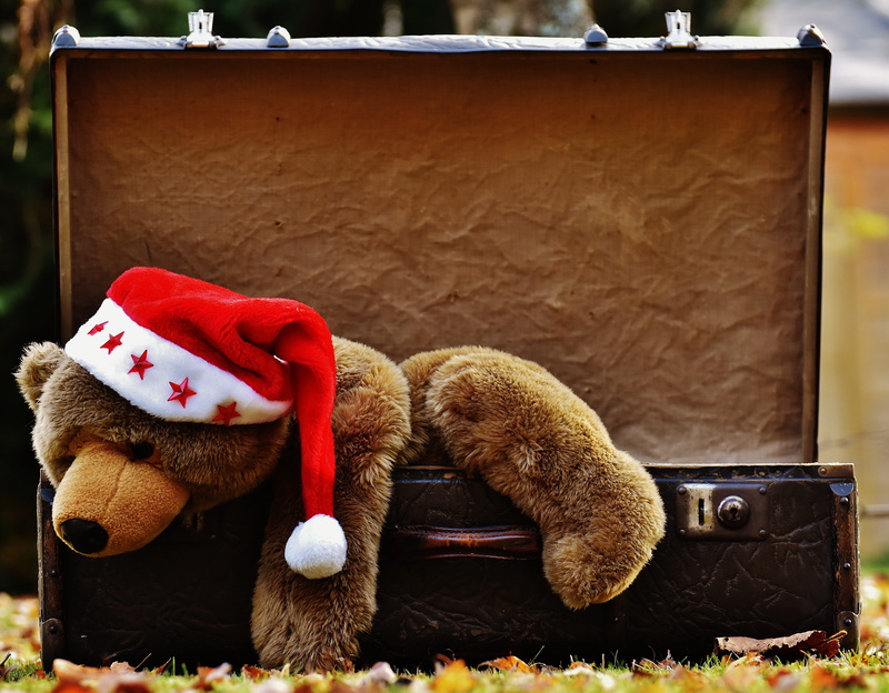 4K, old suitcase, softness, hat, soft toy, teddy, junk, toys, teddy bear, indoors, domestic, animal representation, celebration, Luggage, stuffed animal