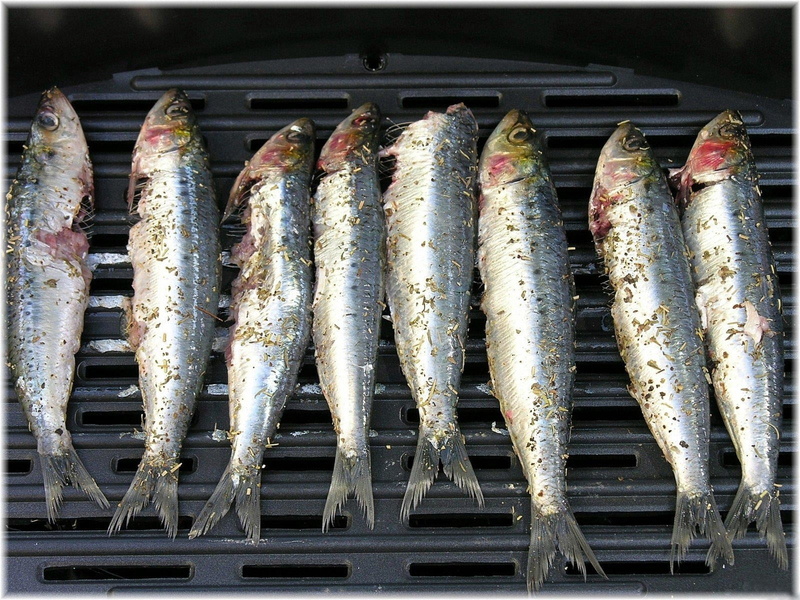 barbecue Grill, close-up, gray, high angle view, metal, meat, meal, no people, barbecue, grill, 720P, food And Drink, herring, side by side, freshness