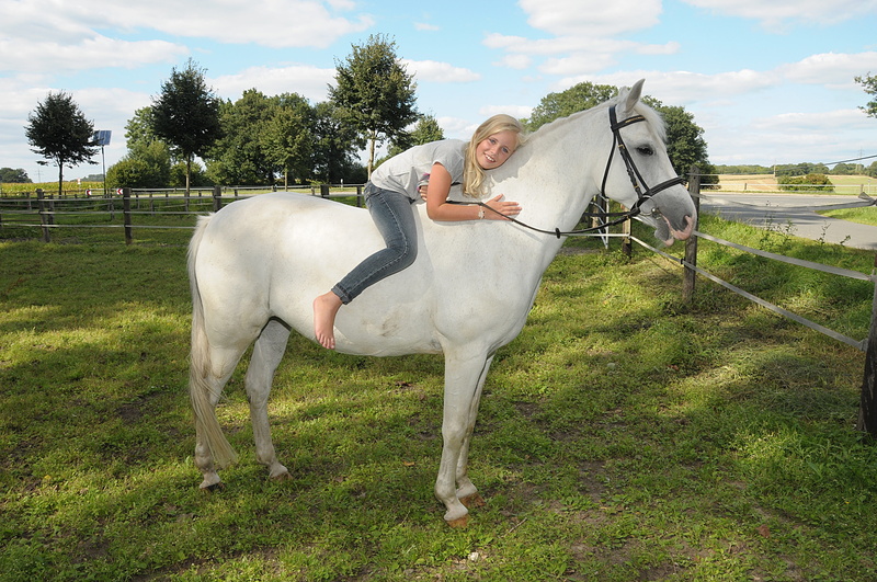 4K, mold, grass, domestic, girl, women, pets, one animal, horse, animal wildlife, domestic animals, vertebrate, full length, mammal, pony, standing, outdoors