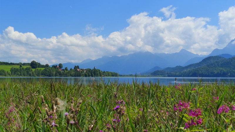 plant, landscape, white blue, flower, lake weissensee, tranquility, summer, waters, scenics - nature, lake, springtime, scenics, mountain, cloud - sky
