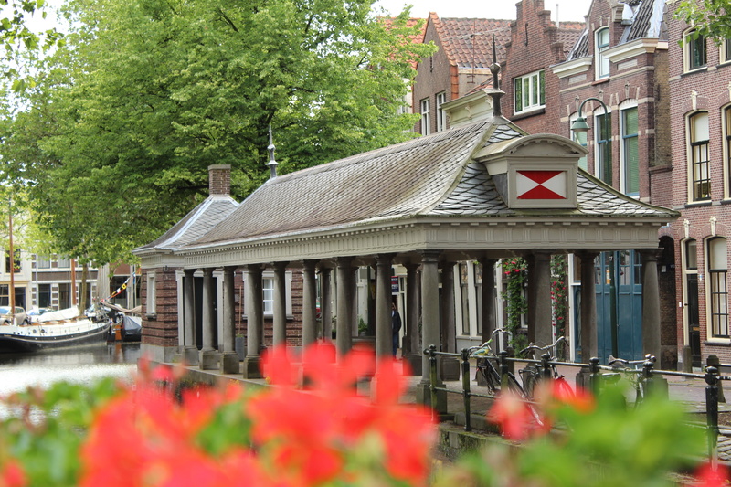 day, flowering plant, 5K, history, canal, historic centre, amsterdam, architecture, building exterior, plant, built structure, mode of transportation