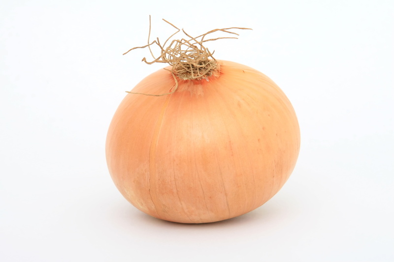 onion, close-up, nature, raw food, vegetable, object, vegetarian food, studio shot, indoors, brown, edible, autumn, cut out, white, healthy, freshness
