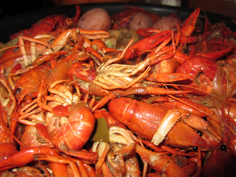 ready-to-eat, crawdad, antenna, crawfish, still life, creole, food and drink, boil, cook, prawn, seasoning, close-up, cajun, freshwater, delicatessen, southern